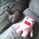 sully-the-kitty-blog avatar