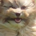 sullyinthewind avatar