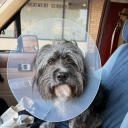 sultrysoymilk avatar