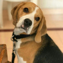 sumaladintyala-blog avatar