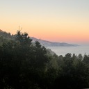 summa-summa-summa avatar