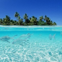 summer-color-splash-blog avatar