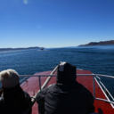 summer-frenzy avatar