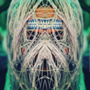 summer-of-nebula avatar