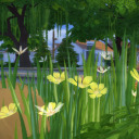 summer-of-sims avatar