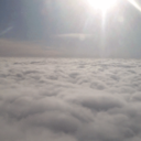 summer-pumpkins avatar