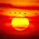 summer-surf-sunset avatar