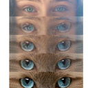 summer-sweet-sweet-life avatar