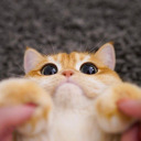 summerbbygirl avatar