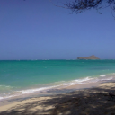 summercopeland avatar