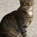 summerdrownedbywinter avatar