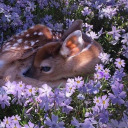 summerfactorfiction avatar