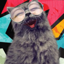 summerkat-mae avatar