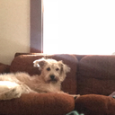 summerlife-cin avatar