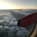 summerlights-summernights avatar