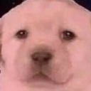 summerlikethix avatar