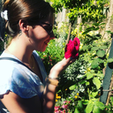 summerlovexoxo14 avatar