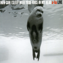 summermovedon avatar