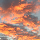 summernight456 avatar