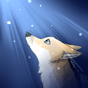 summernightart avatar