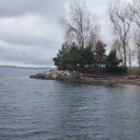 summeroverboard avatar