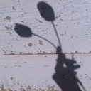 summerpenguin avatar