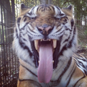 summerprincss avatar