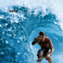summerr-catch-blog avatar