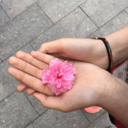 summerseasalt avatar