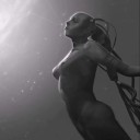 summersong2262 avatar