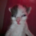 summertime-enjoyer avatar