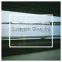 summerwhales avatar