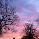 sumsnecessity avatar