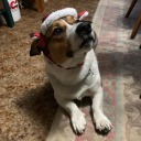 sumthincoolsideblog avatar