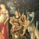 sun-and-moons avatar