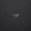 sun-kissedflaws avatar