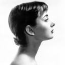 sun-lesbian-archive avatar