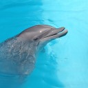 sun-on-the-sand avatar