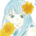 sun-sunny-sunflowers avatar