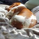 sunamii-and-me avatar