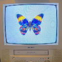 sunbeacon avatar