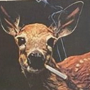 sunbleachedfl1es avatar