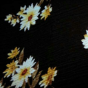 sunbleachedwitch avatar