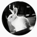 sundaesecretkarmel avatar