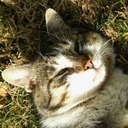 sunday-in-void avatar