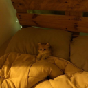 sundaynight23 avatar