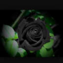 sundazedandconfused avatar