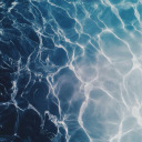 sundazedbones avatar