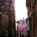 sundownwonderwall avatar