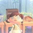 sundrop-sanctuary avatar